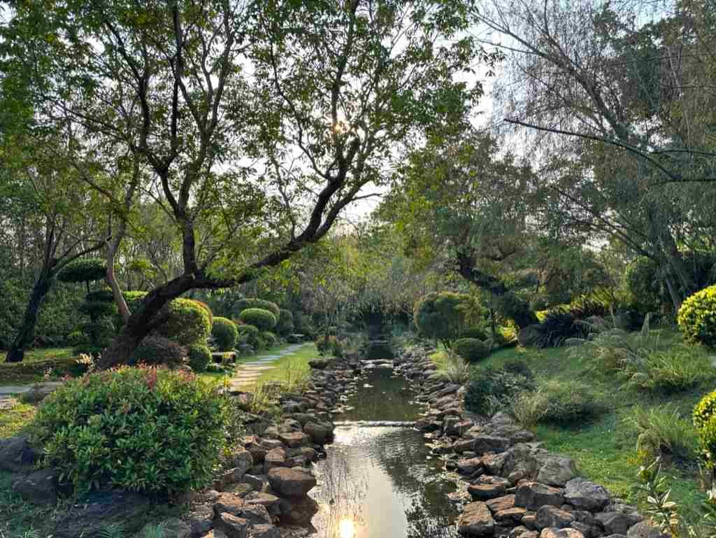 A Japanese garden in a coffee shop