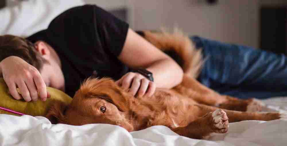 Man-sleeping-with-his-dog