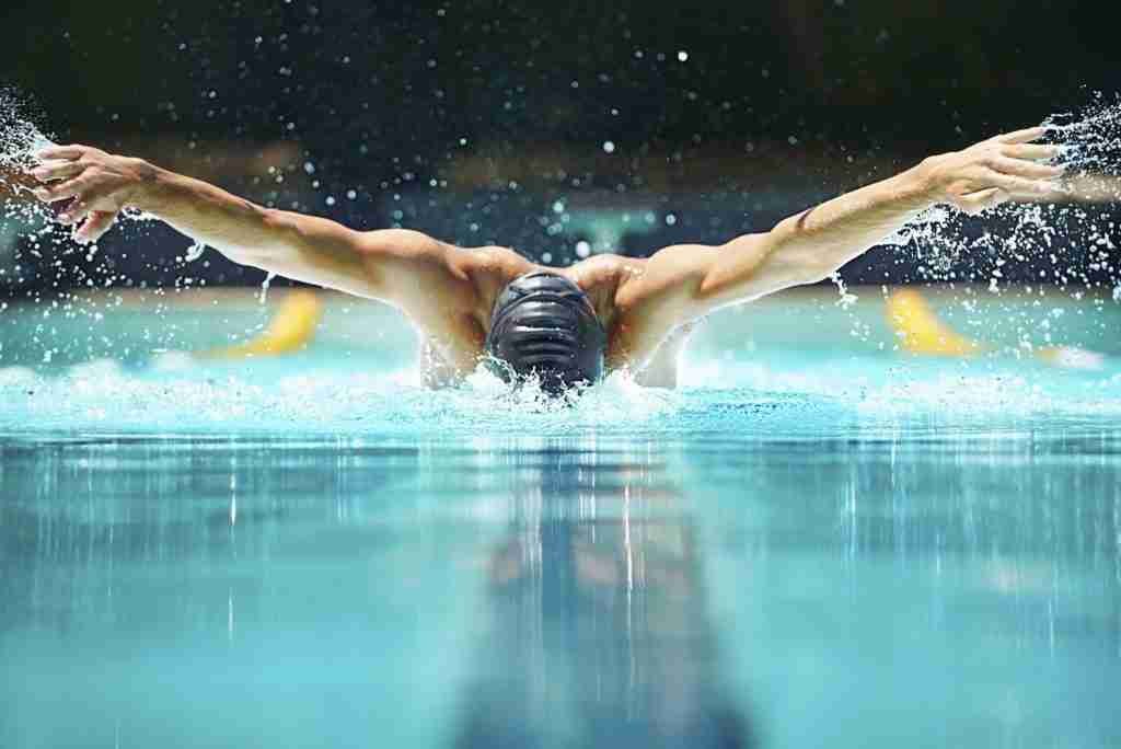 butterfly stroke