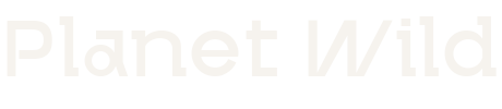Planet Wild conservation impact